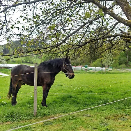 דירה Gartenblick *